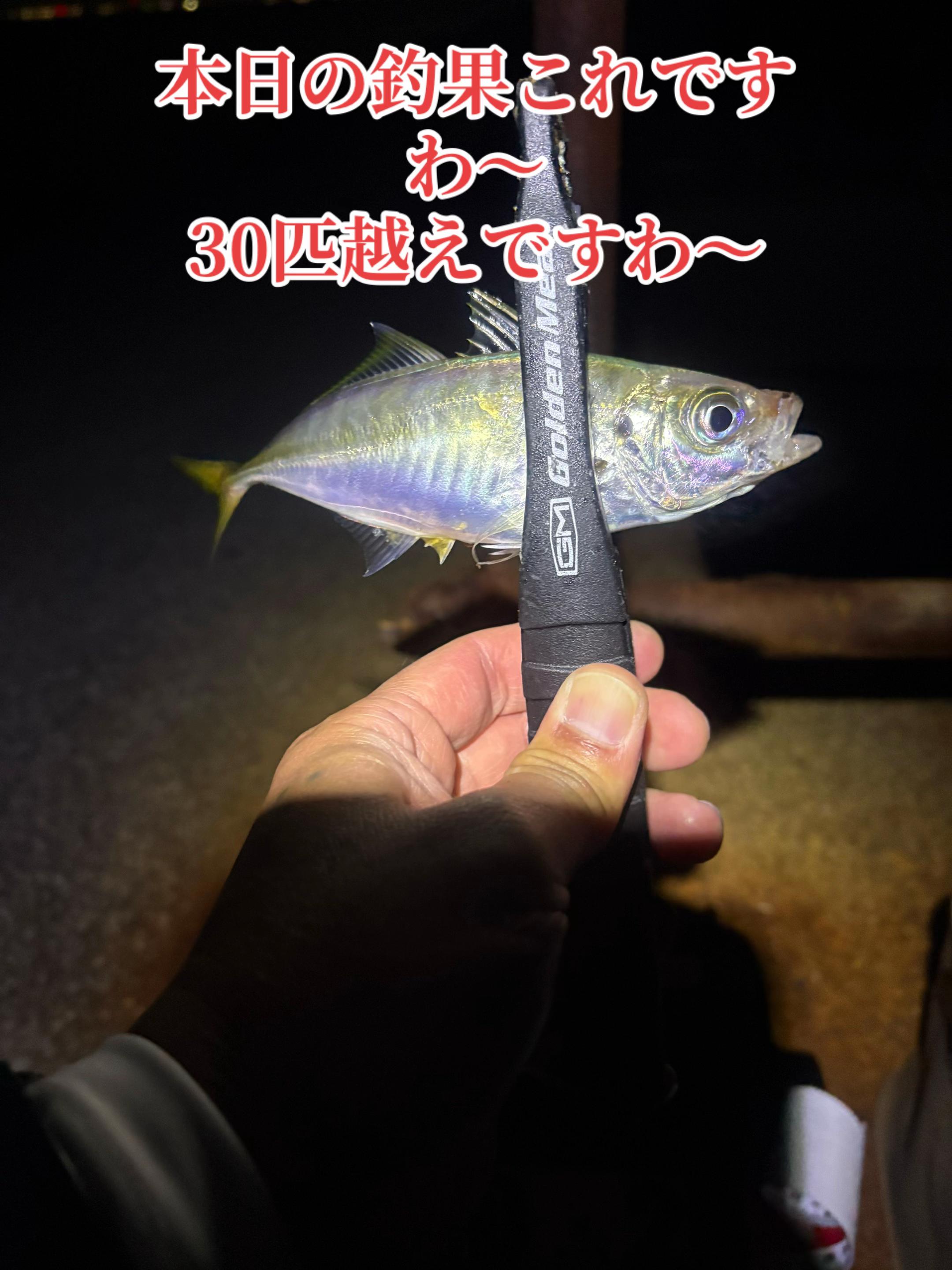 @࿗༺ 𝓚𝓪𝓽𝓾𝔂𝓪  ༻࿘