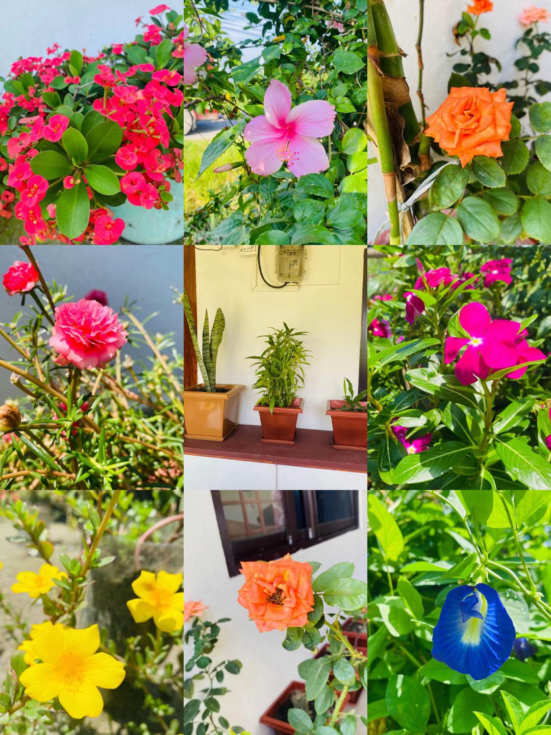@सन्ध्या विश्वकर्मा