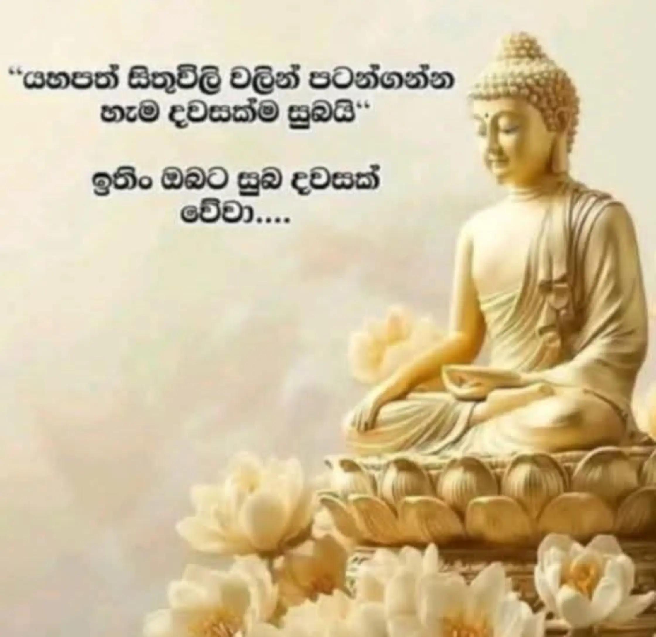 @prasanna