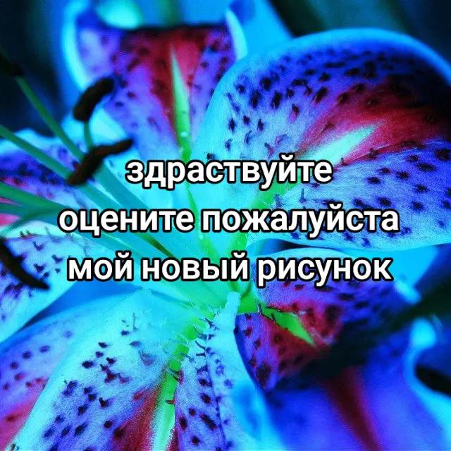 @Стряпняᶻ 𝘇