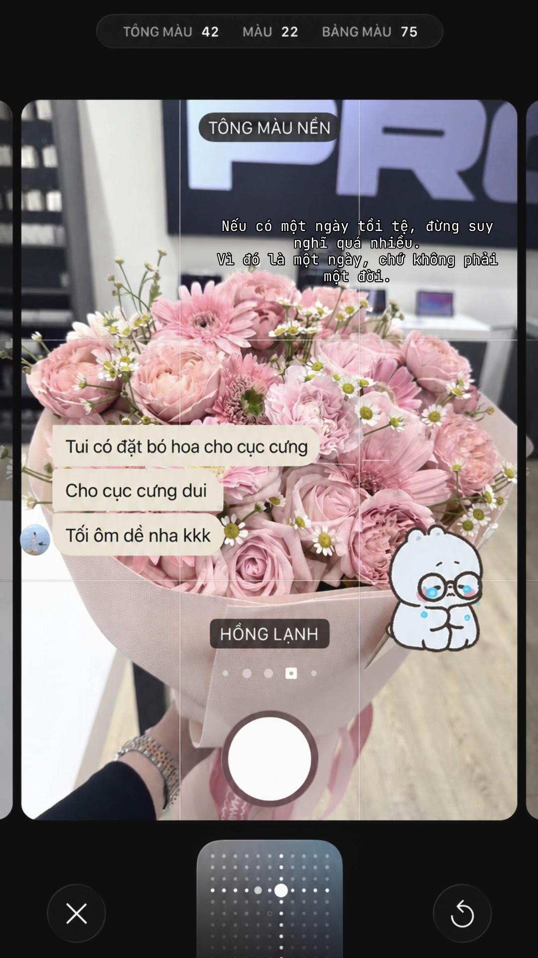 @Ung Trà Tố Như 🐱