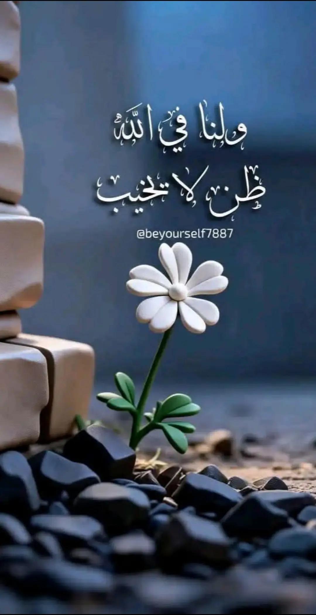 @محمد جرادات