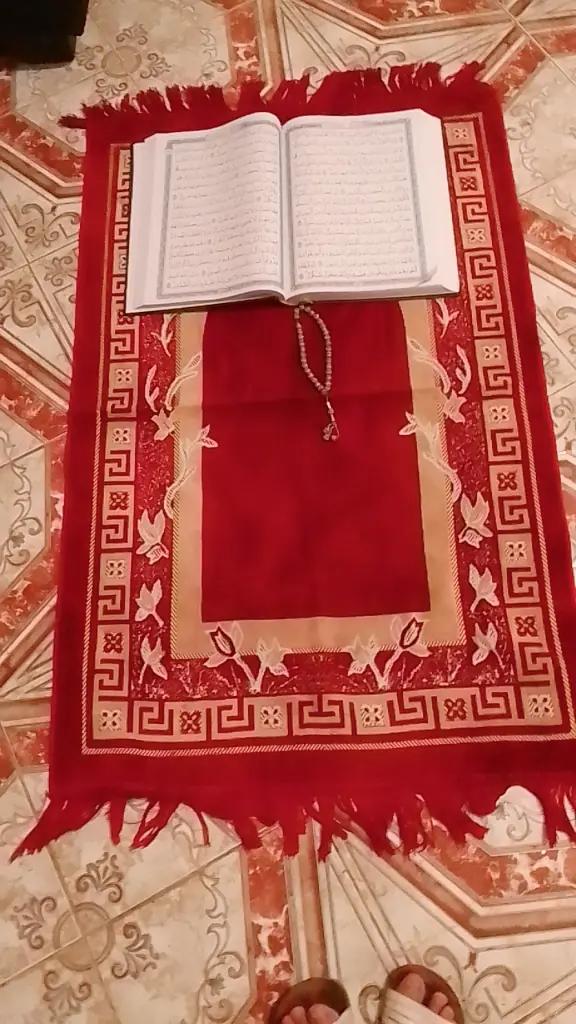 @عايشة حياة وحيدة