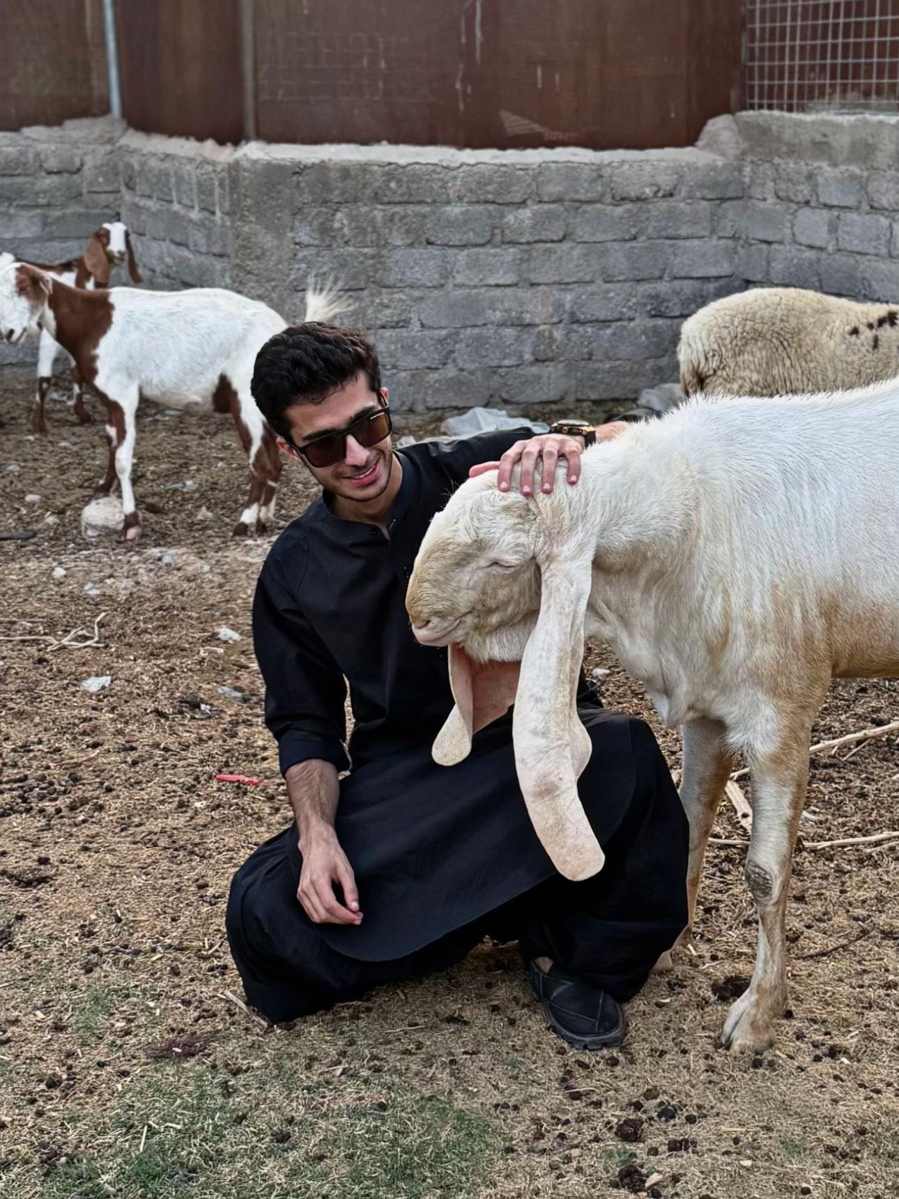 @Rafay Baluch