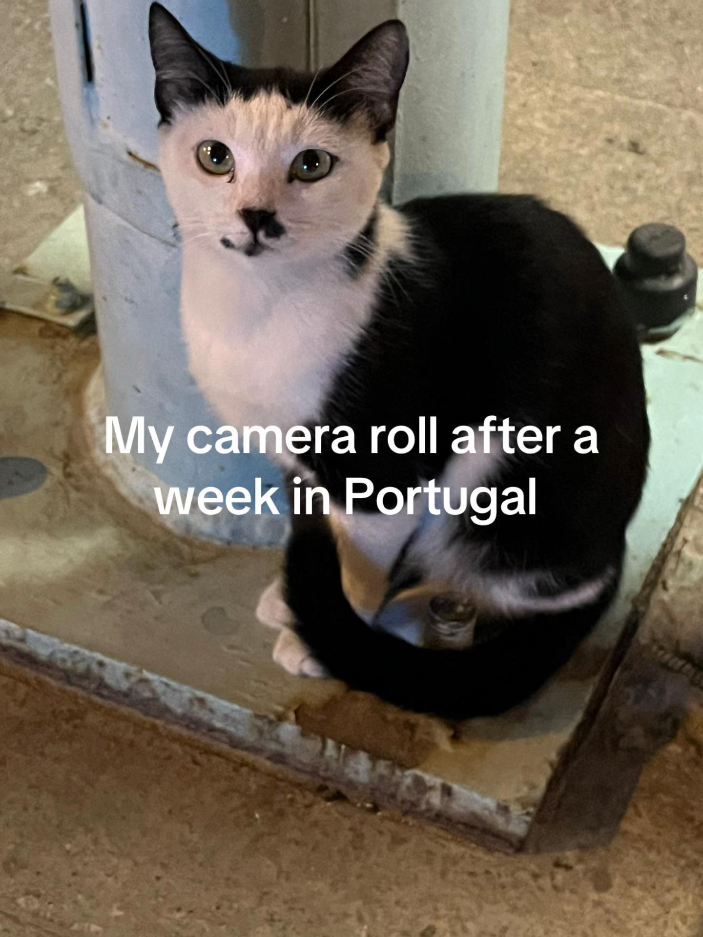@𖡉