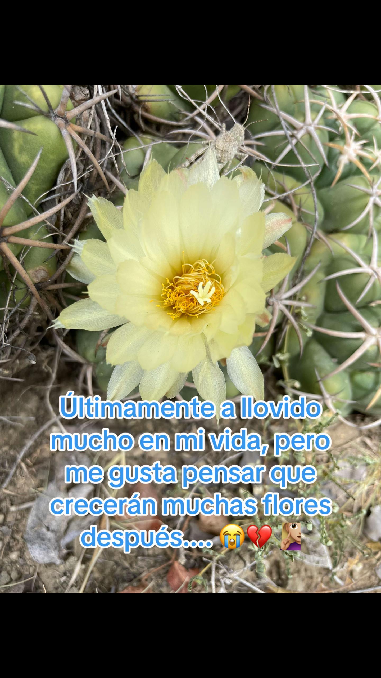@🩵🦋Monse🐺🥷🏻🩵