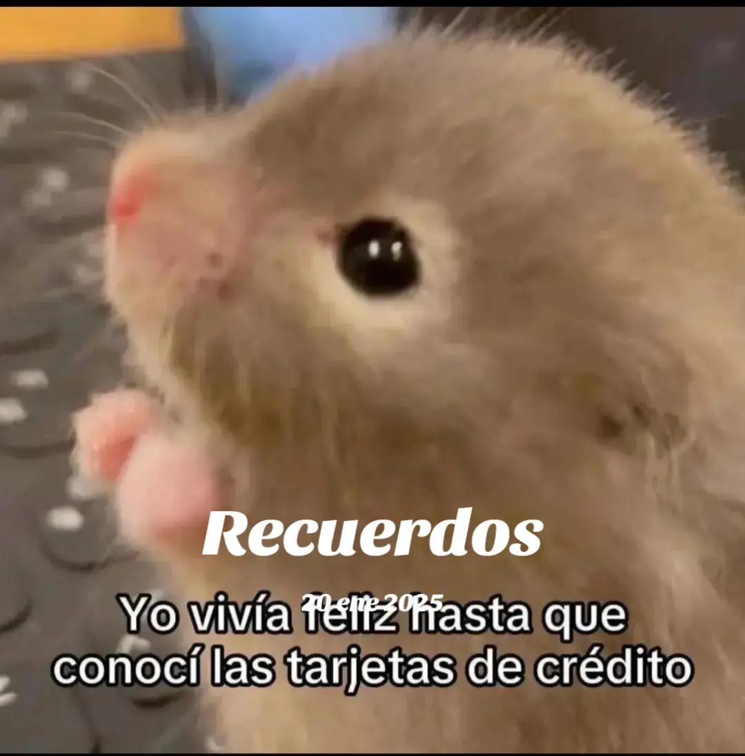 @migeposter