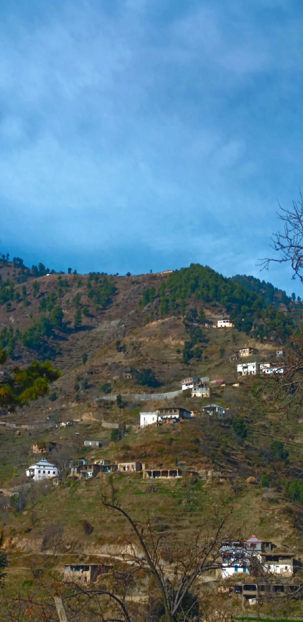 @🌲غر سنے 🌲