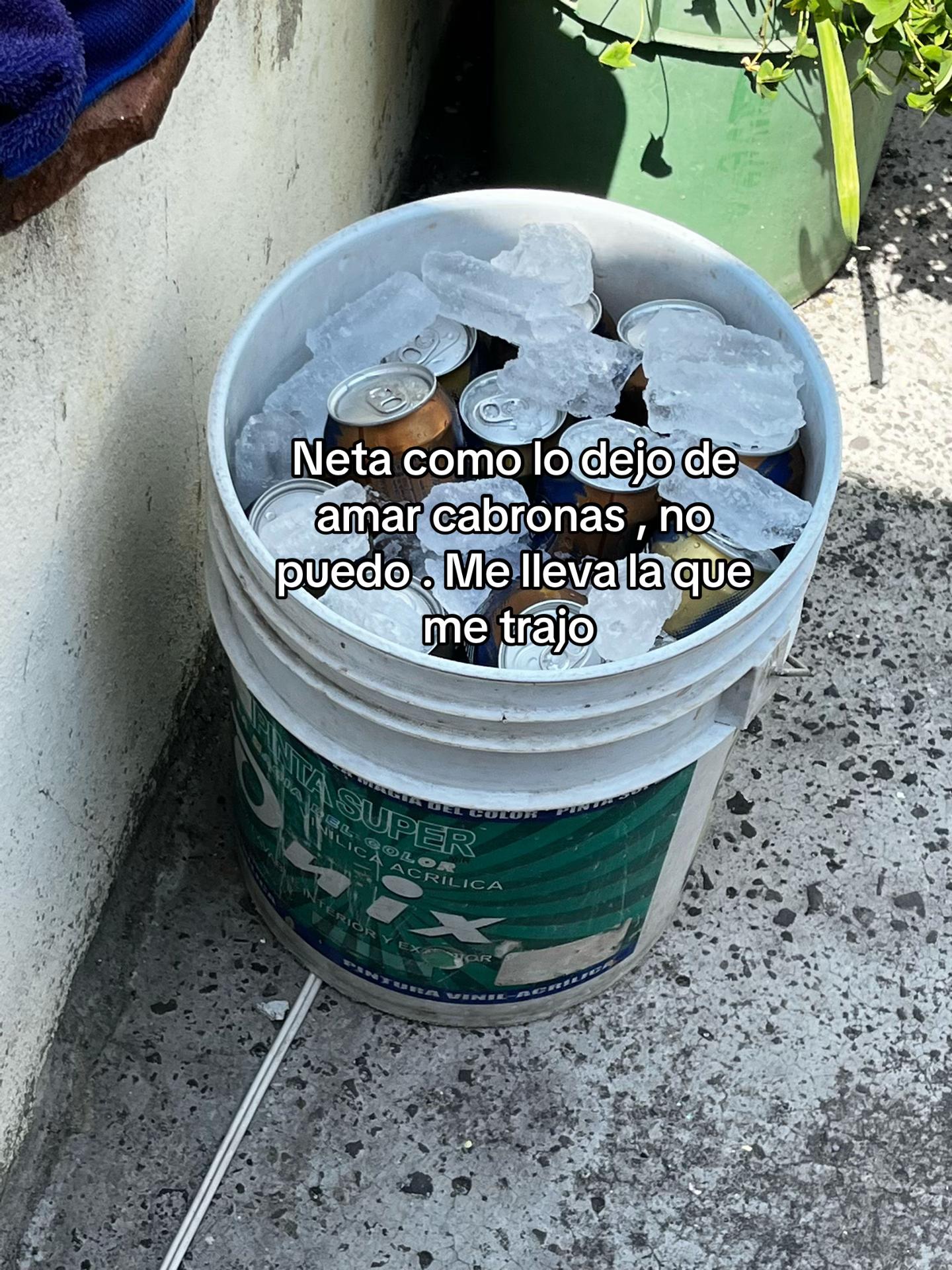 @𝕸𝖆𝖑𝖈𝖗𝖎𝖆𝖆𝖉𝖆