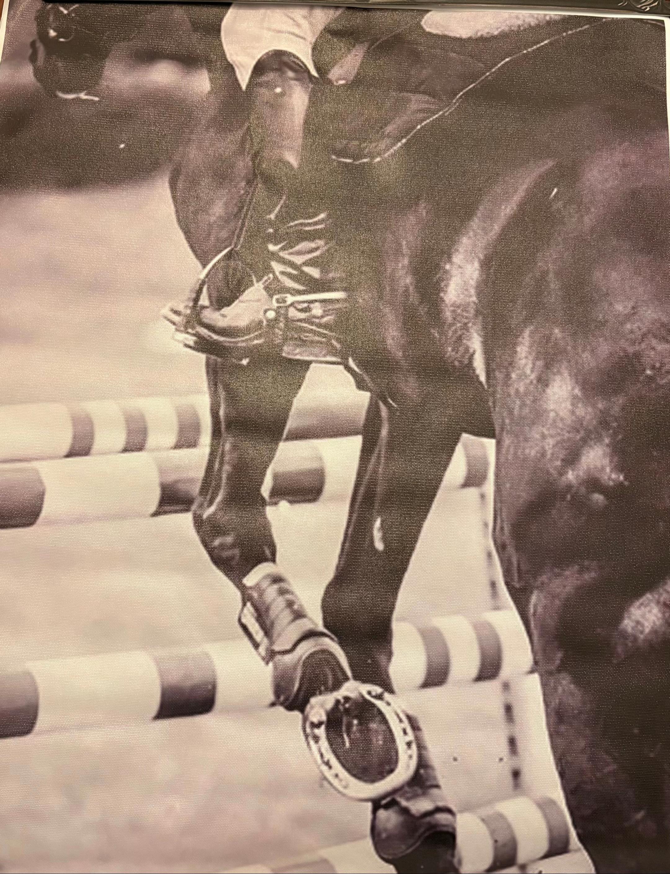 @🐎Maria31🐎