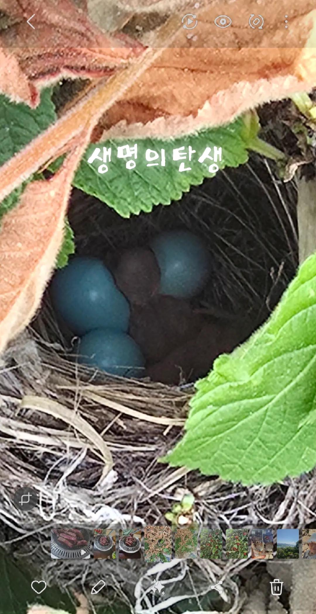 @행복