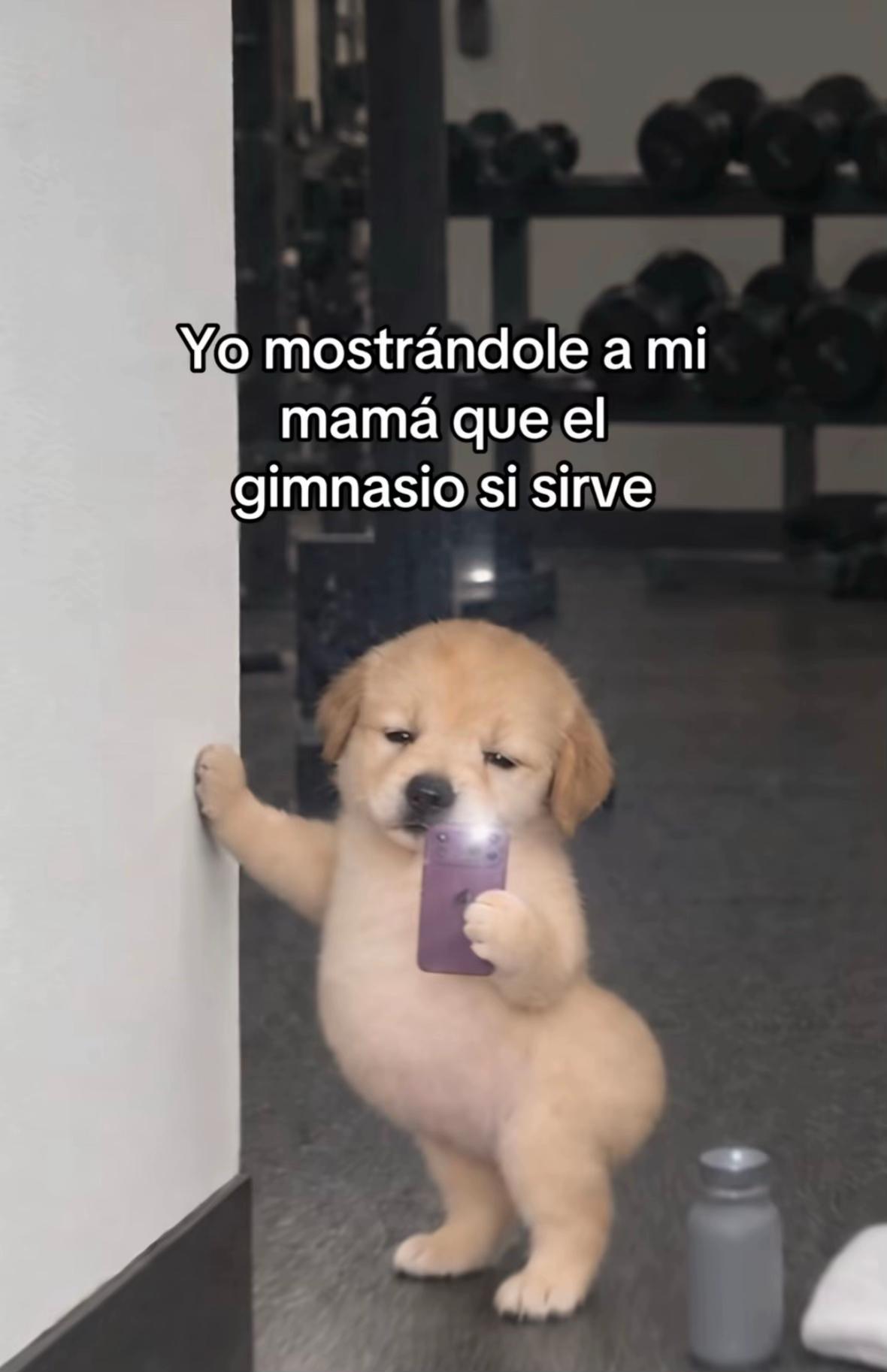 @Ale Roman