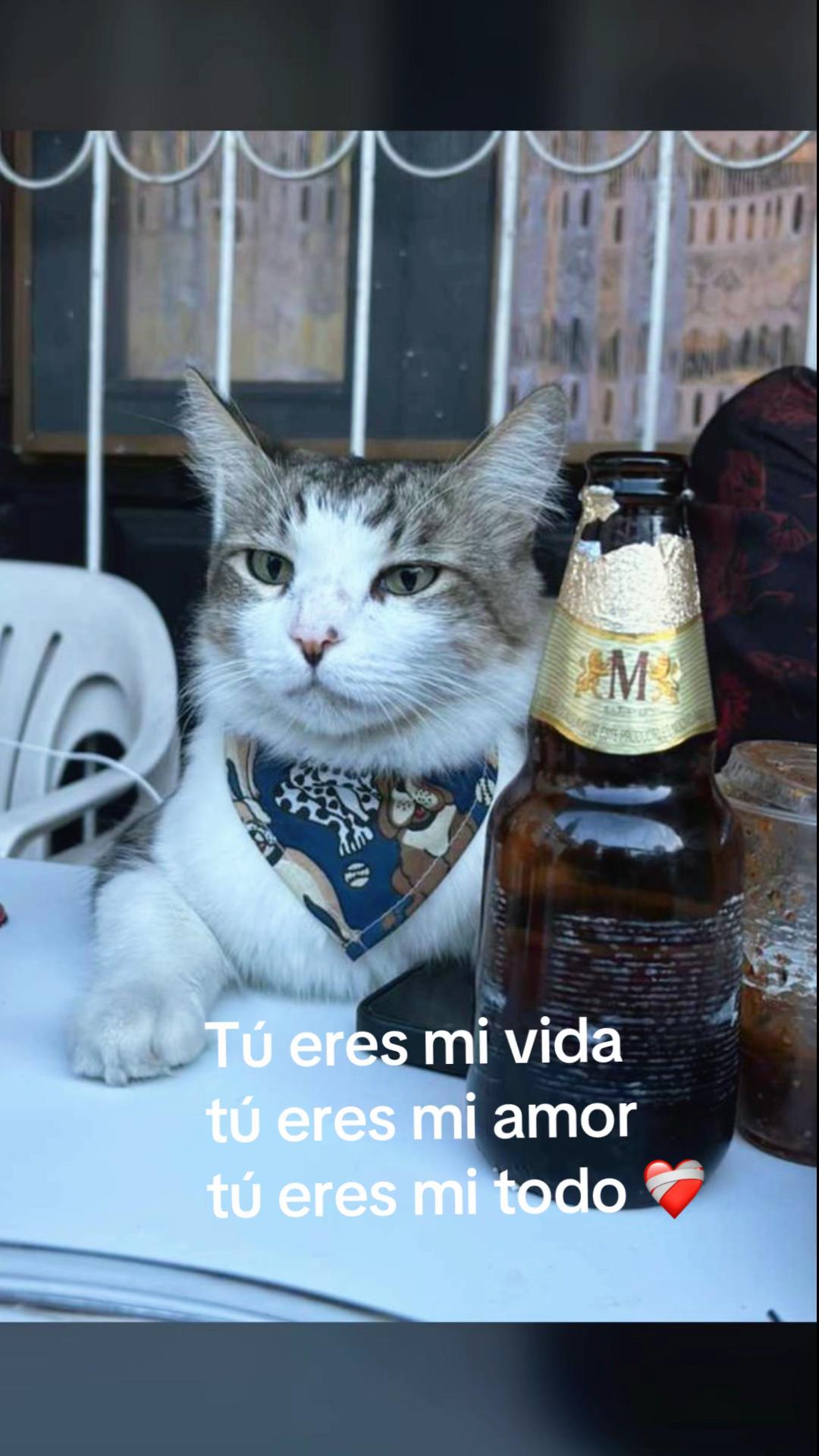 @Fanny pulido 123