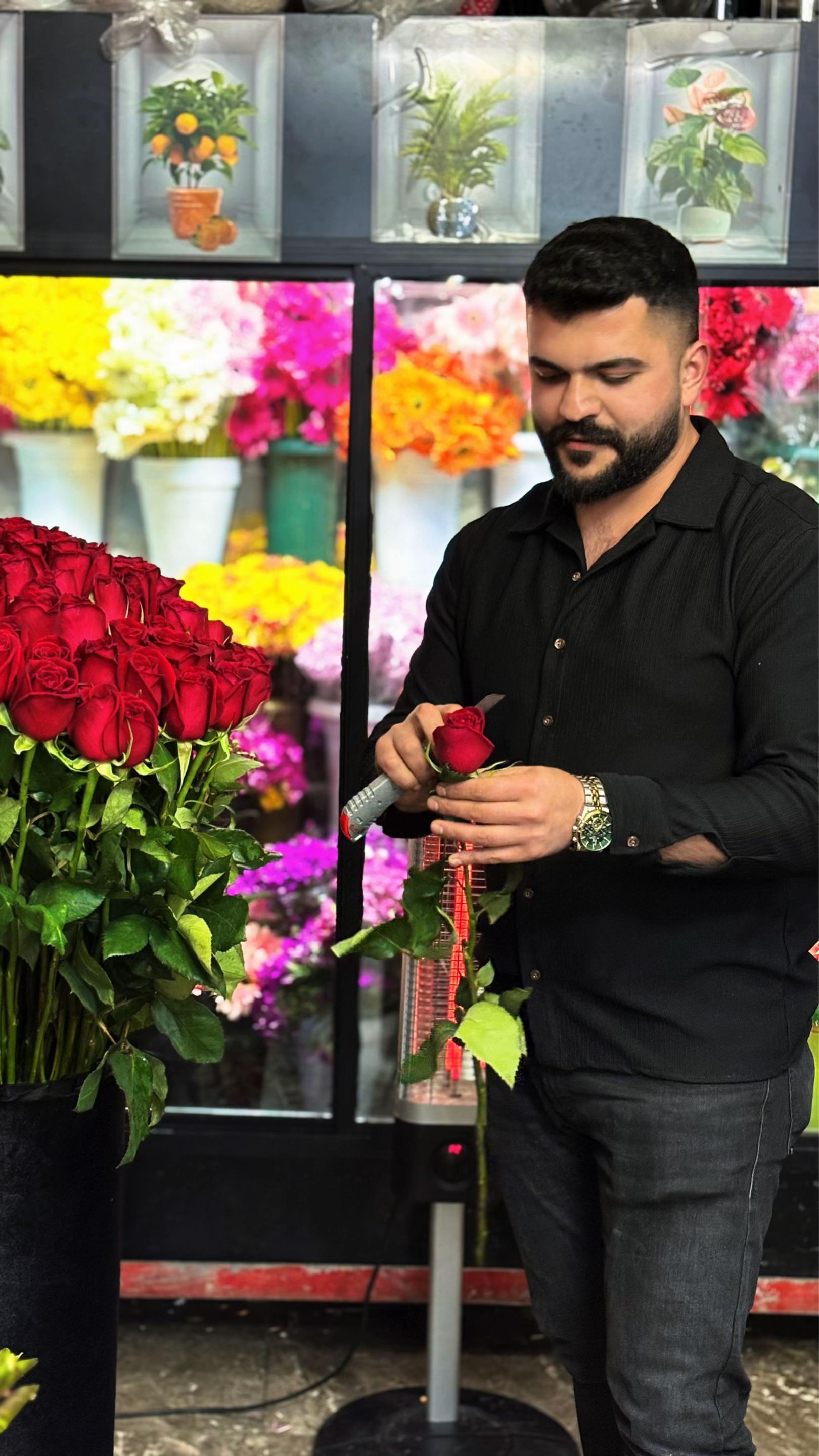 @TOLGA KO&Ccedil;AK