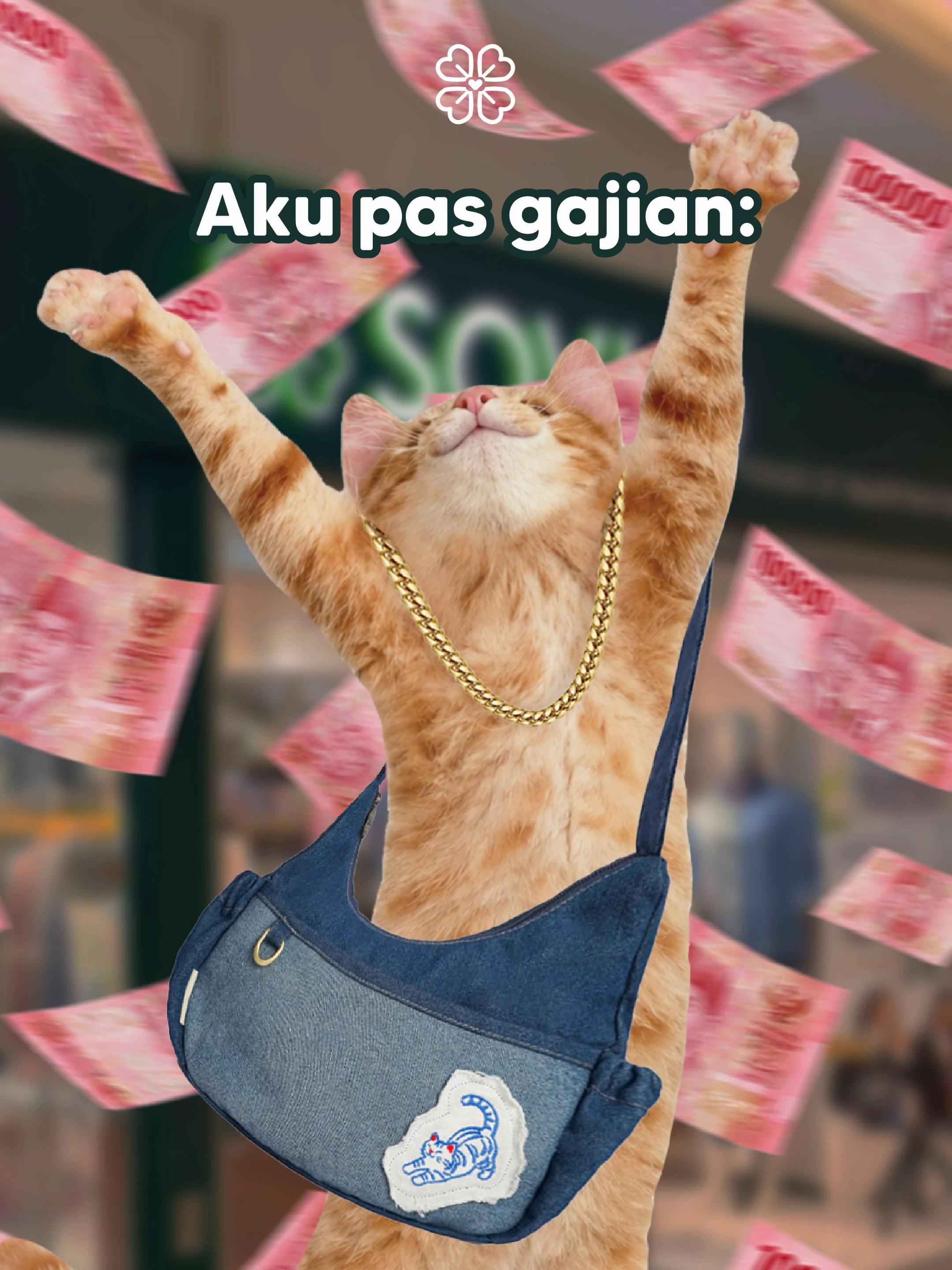 @SOVLO