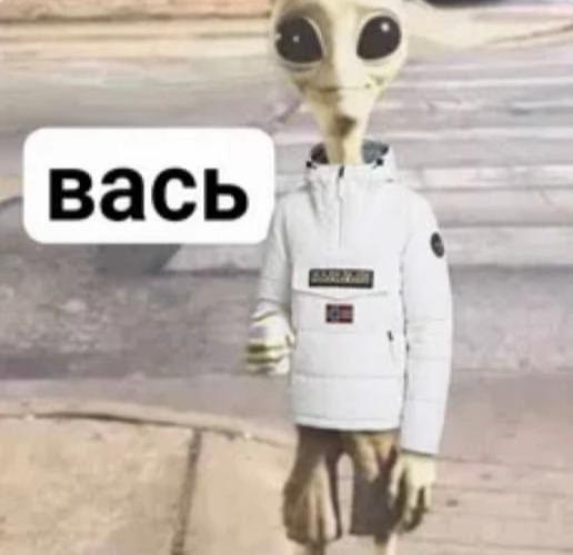@маня ✌🏻