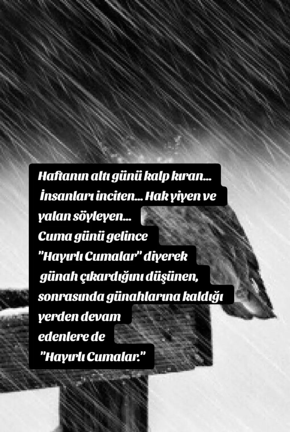 @🇹🇷 Zeynep 🇹🇷