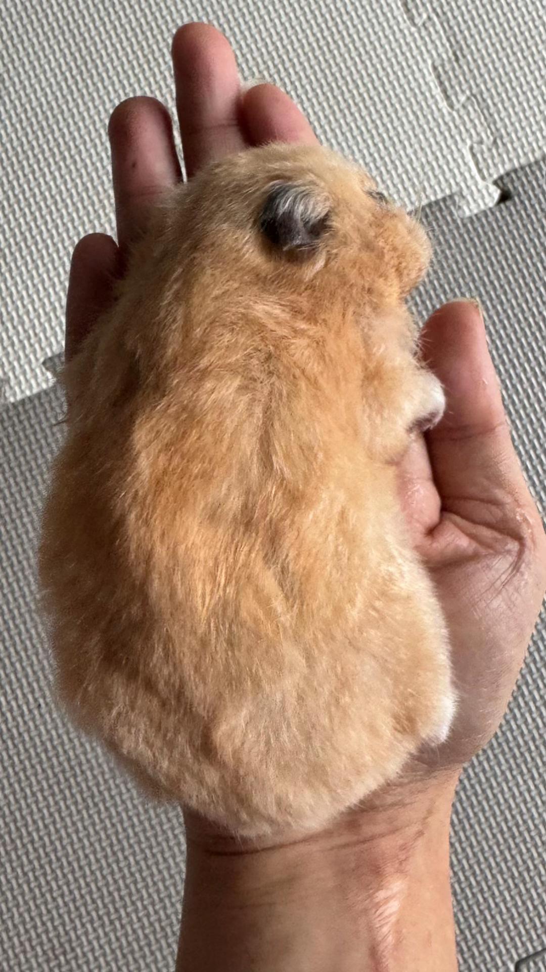 @ใใ P๐๐