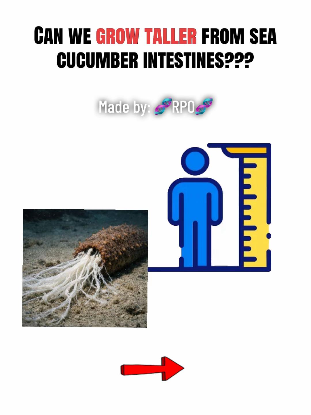 @🧬RPO🧬