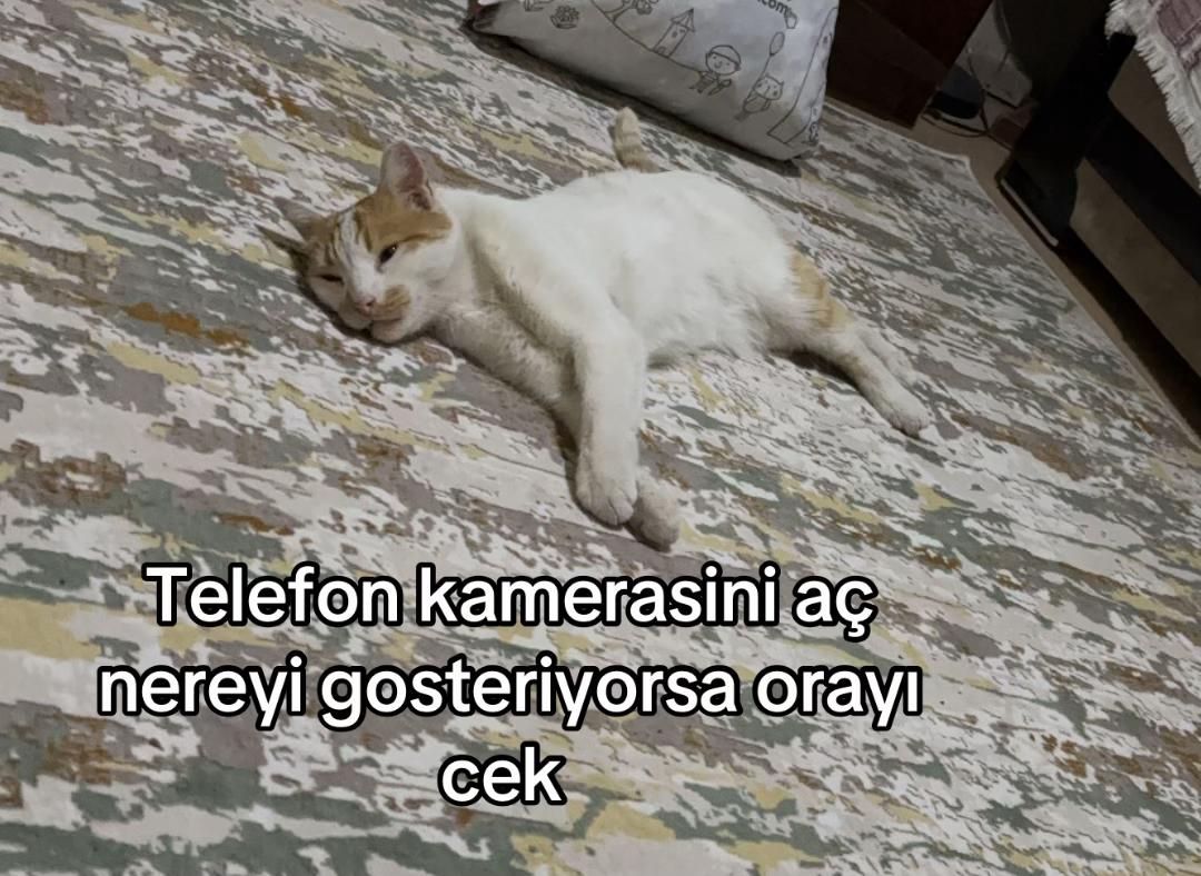 @cern.krs