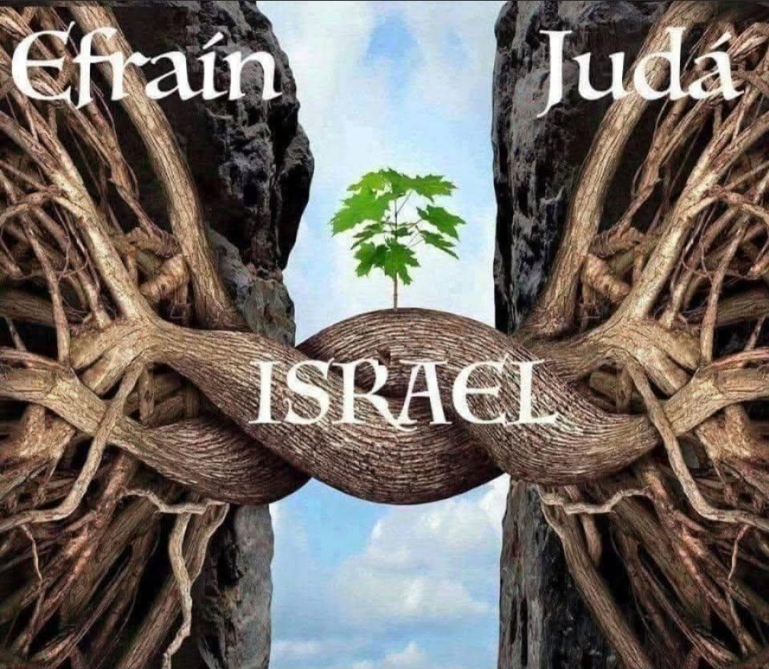 @Hadassah