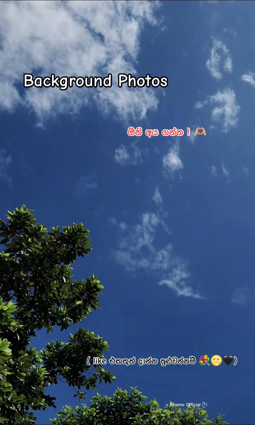 @< 𝐂𝐡𝐚𝐦𝐨 ᥫ᭡