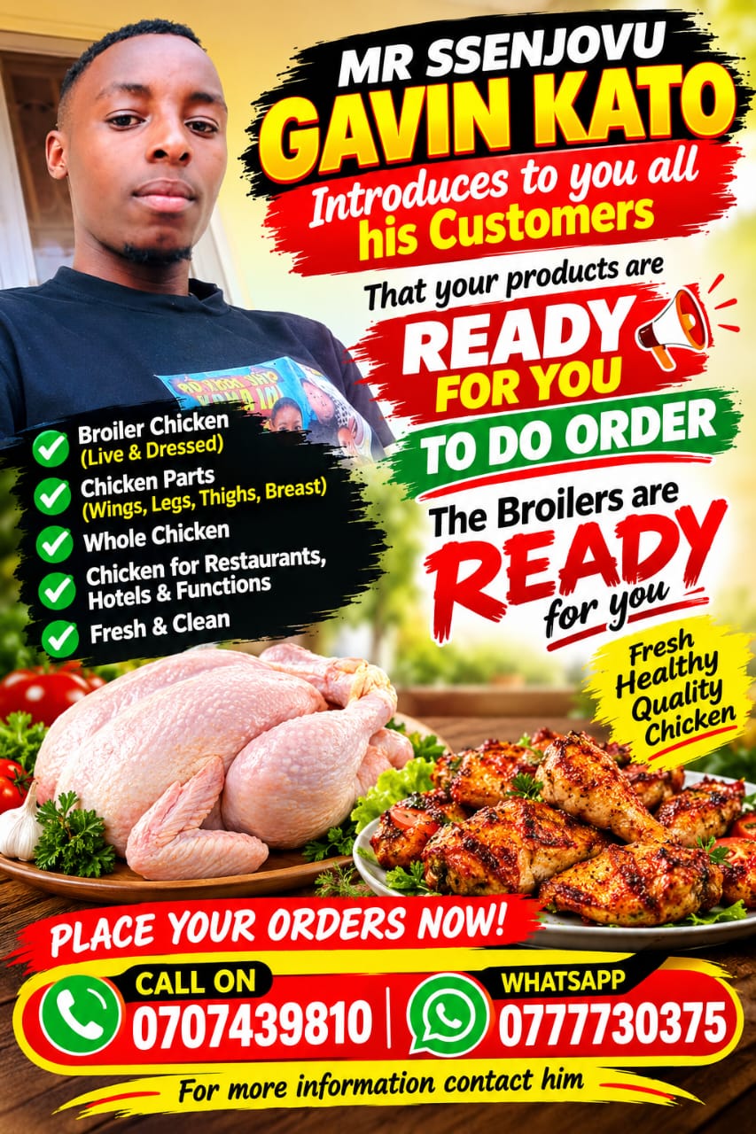@gavinkato346@gmail.com