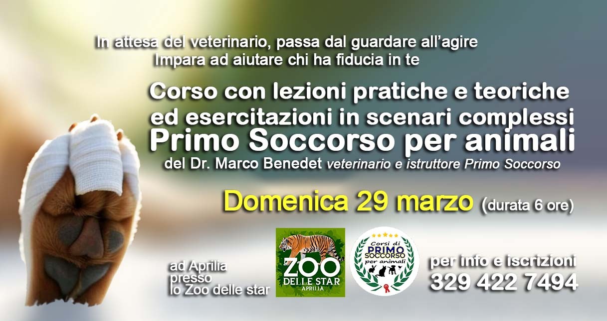 @Parco Zoo delle Star