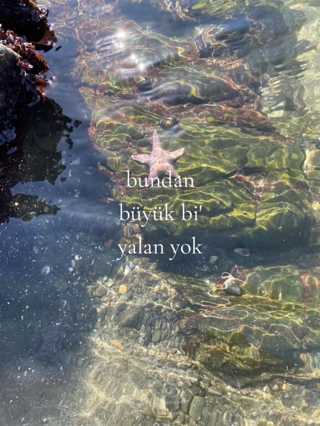 @𝙺𝚘𝚕𝚢𝚊⁶ #BRINGBACKVALKO