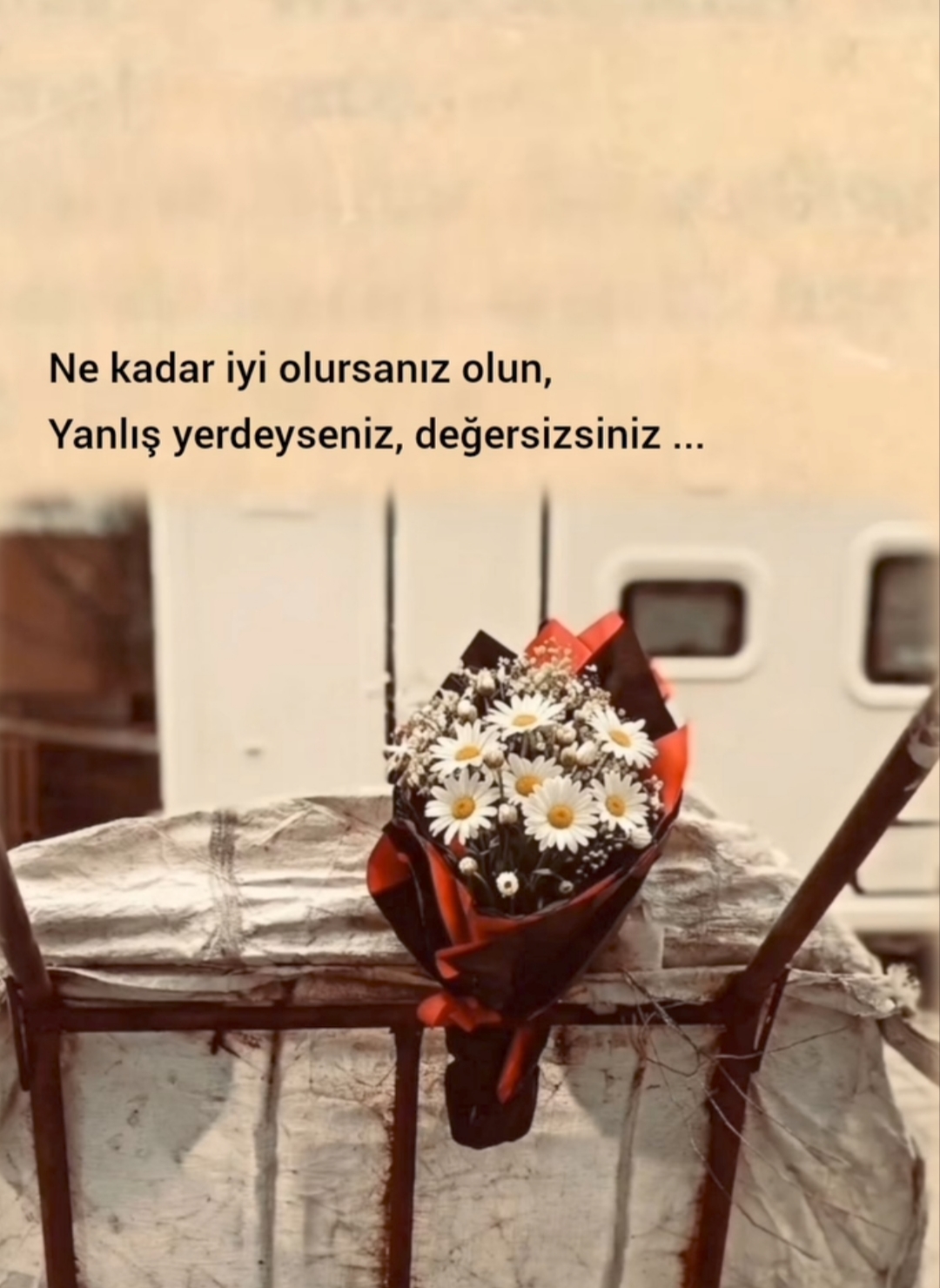 @kelebeğin Rüyası 44