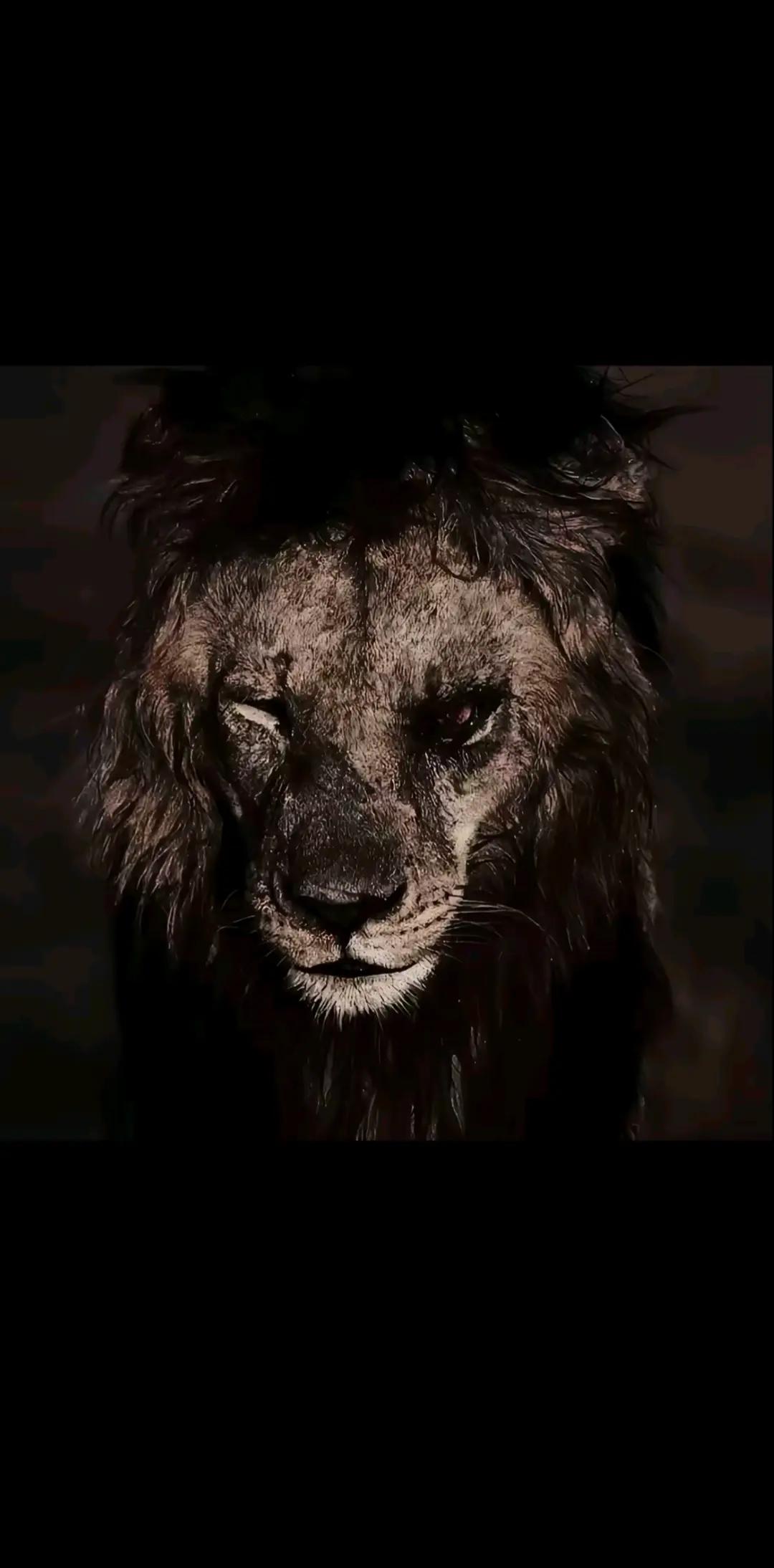 @F1 Leader