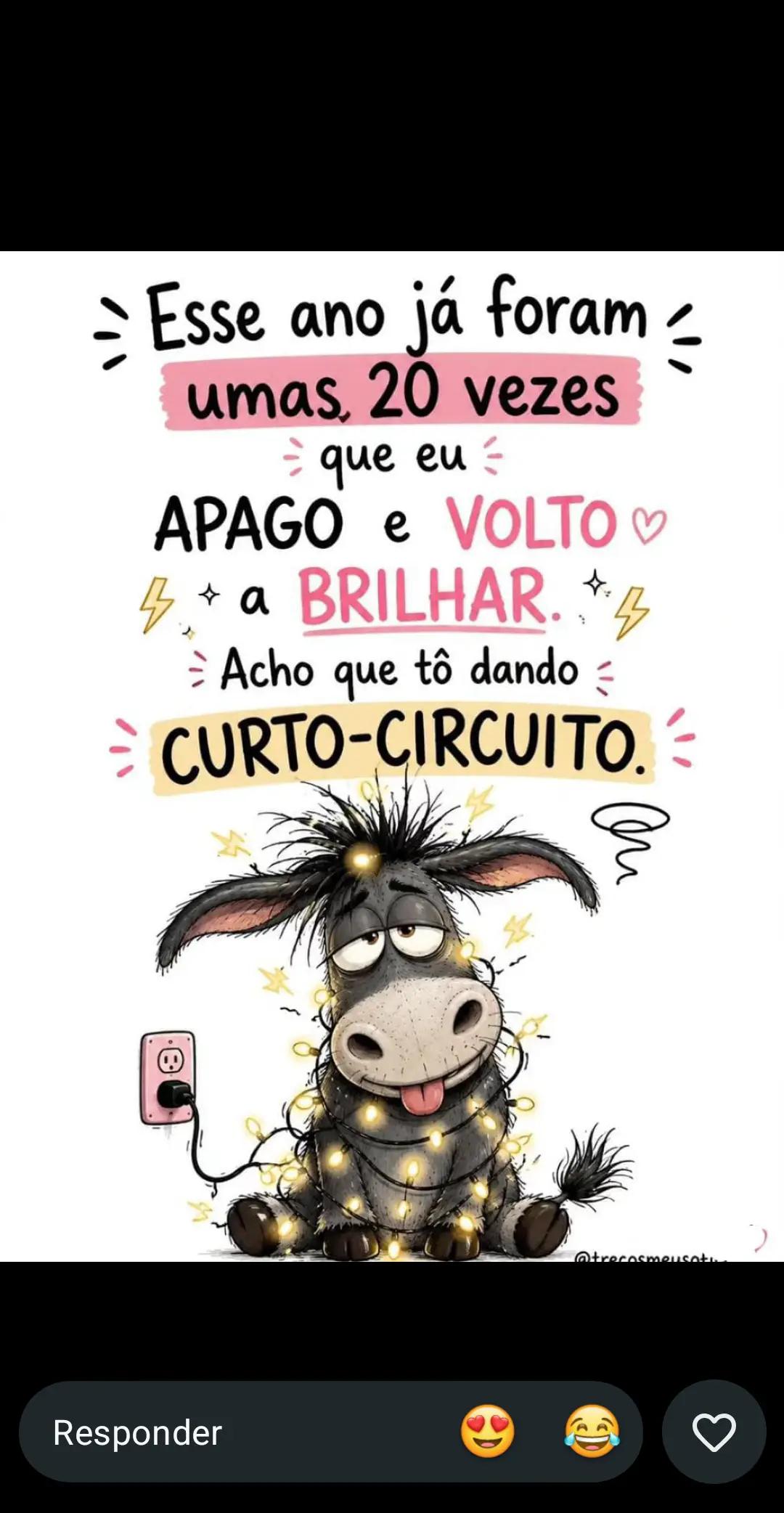 @🤩vídeos aleatórios😍💞🎶😅🤳✍