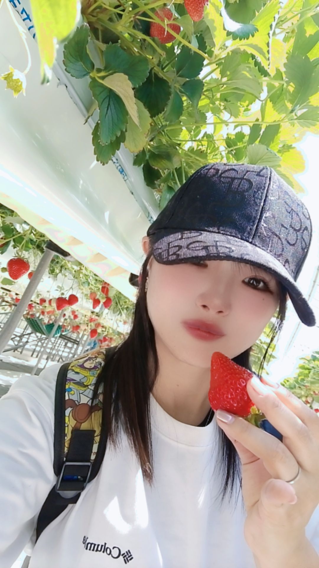 @hito侍🎯🐯野沢菜ちゃん🍀🐯🐬🌼🏝️