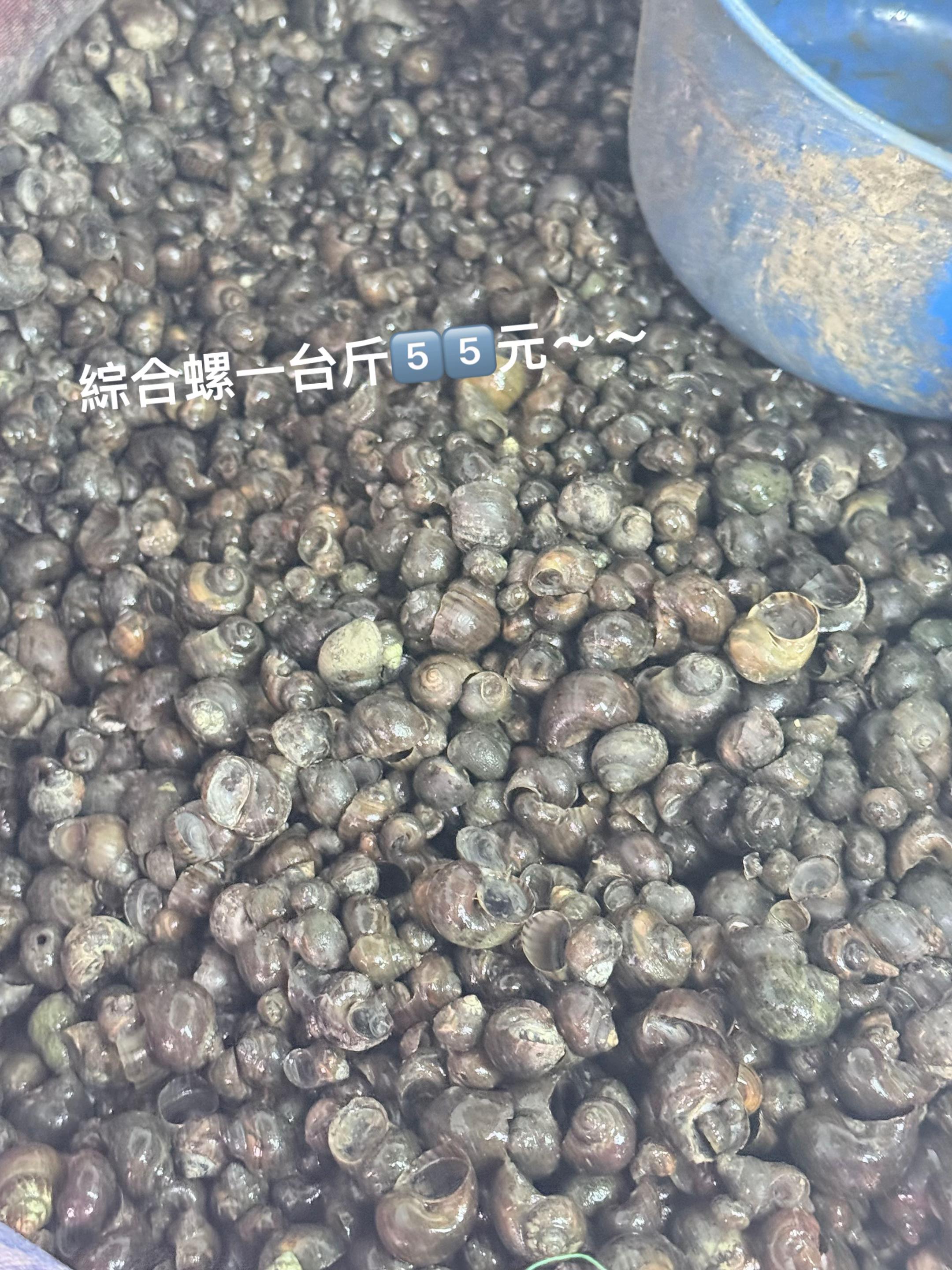 @阿興檳榔攤(金寶螺專賣店