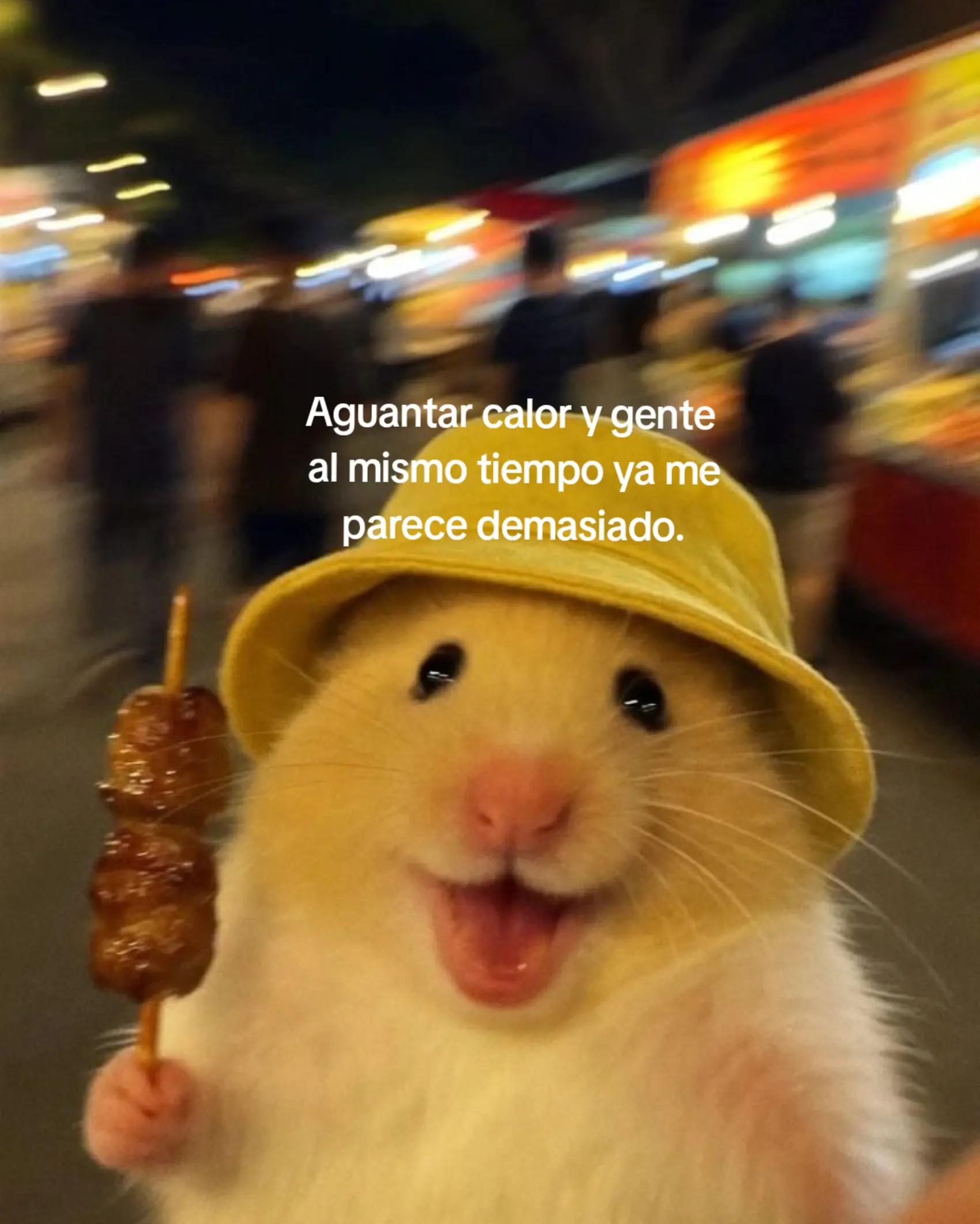 @Osiel GL🍪