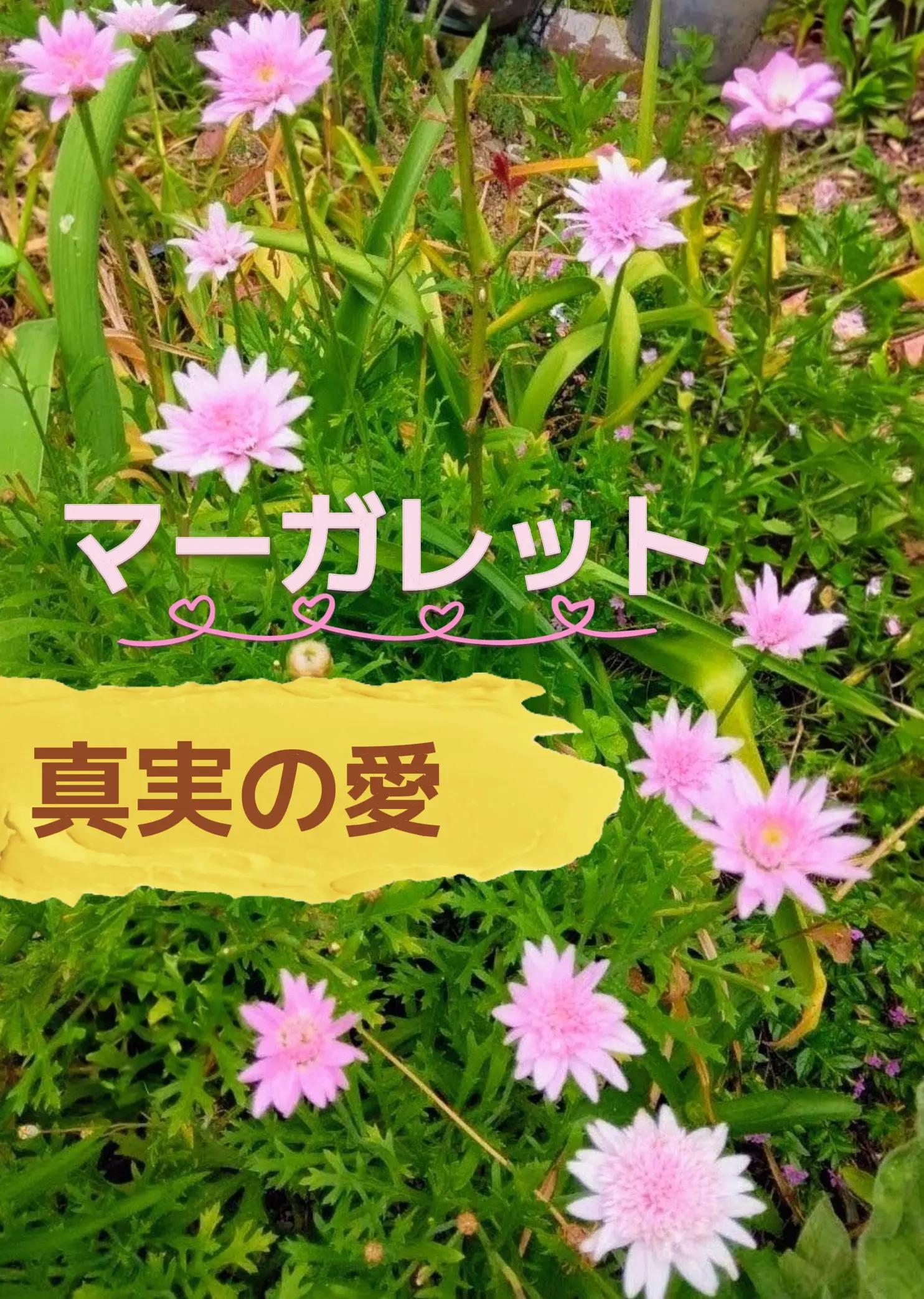 @TERU