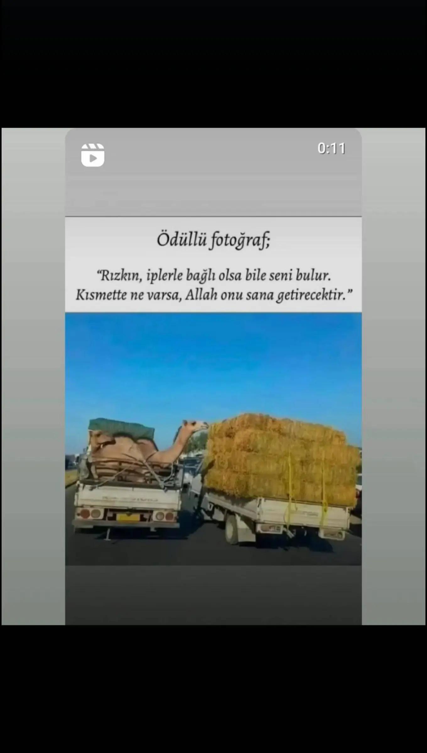 @İğnemin_G&uuml;zelliği