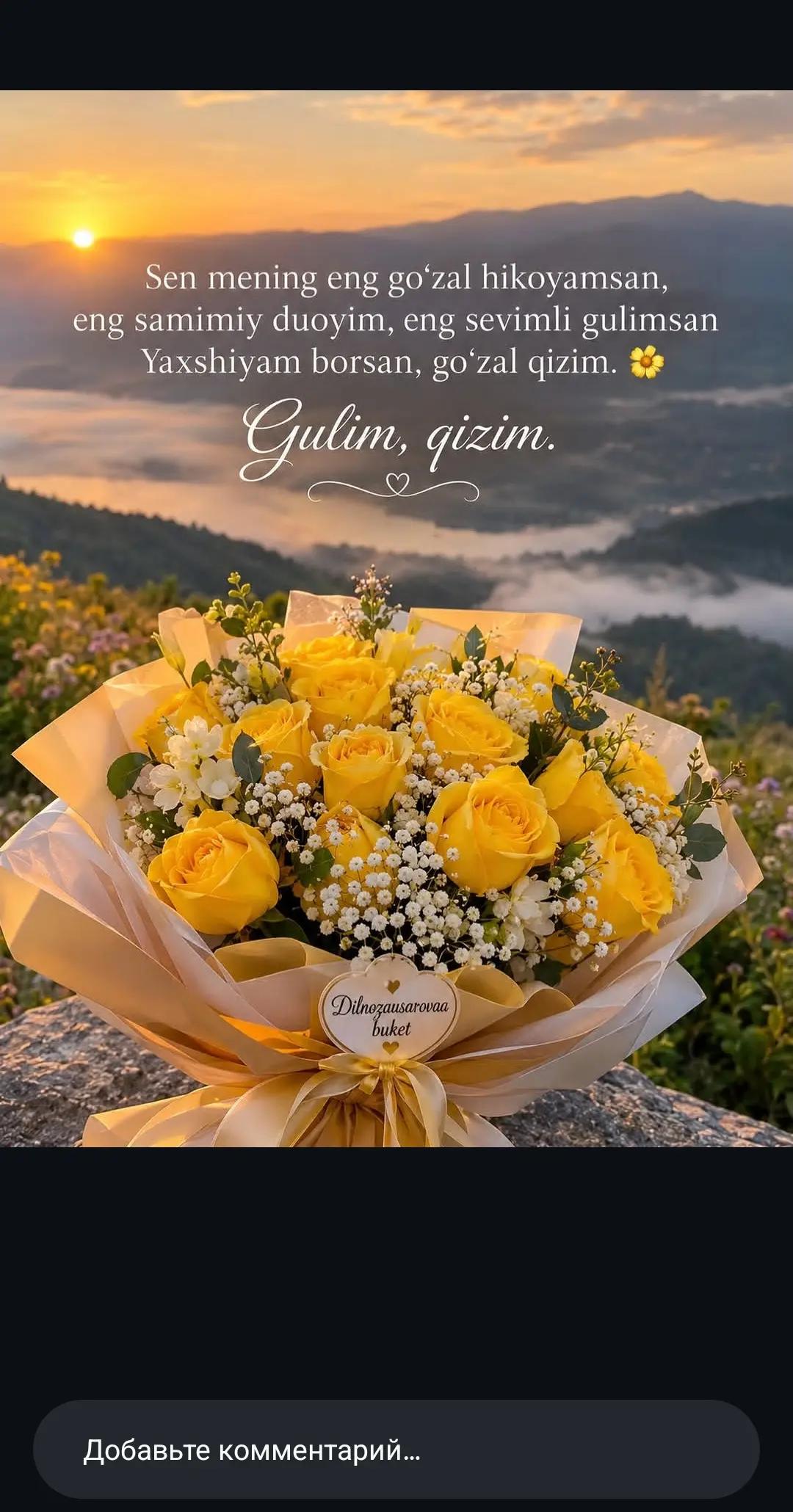 @ins:@aisha_kgz_
