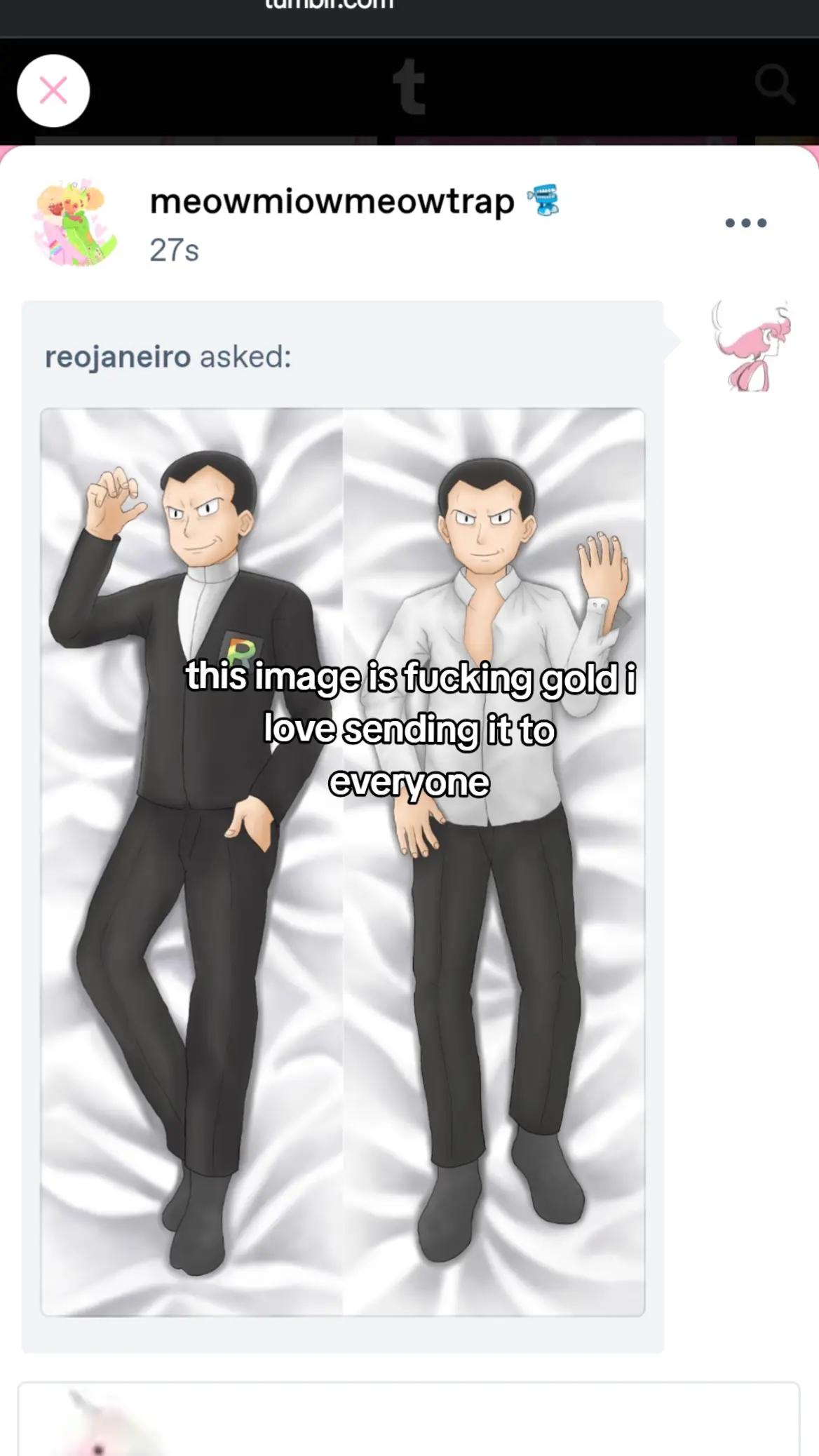@ari / tori  ♡'s  blanche