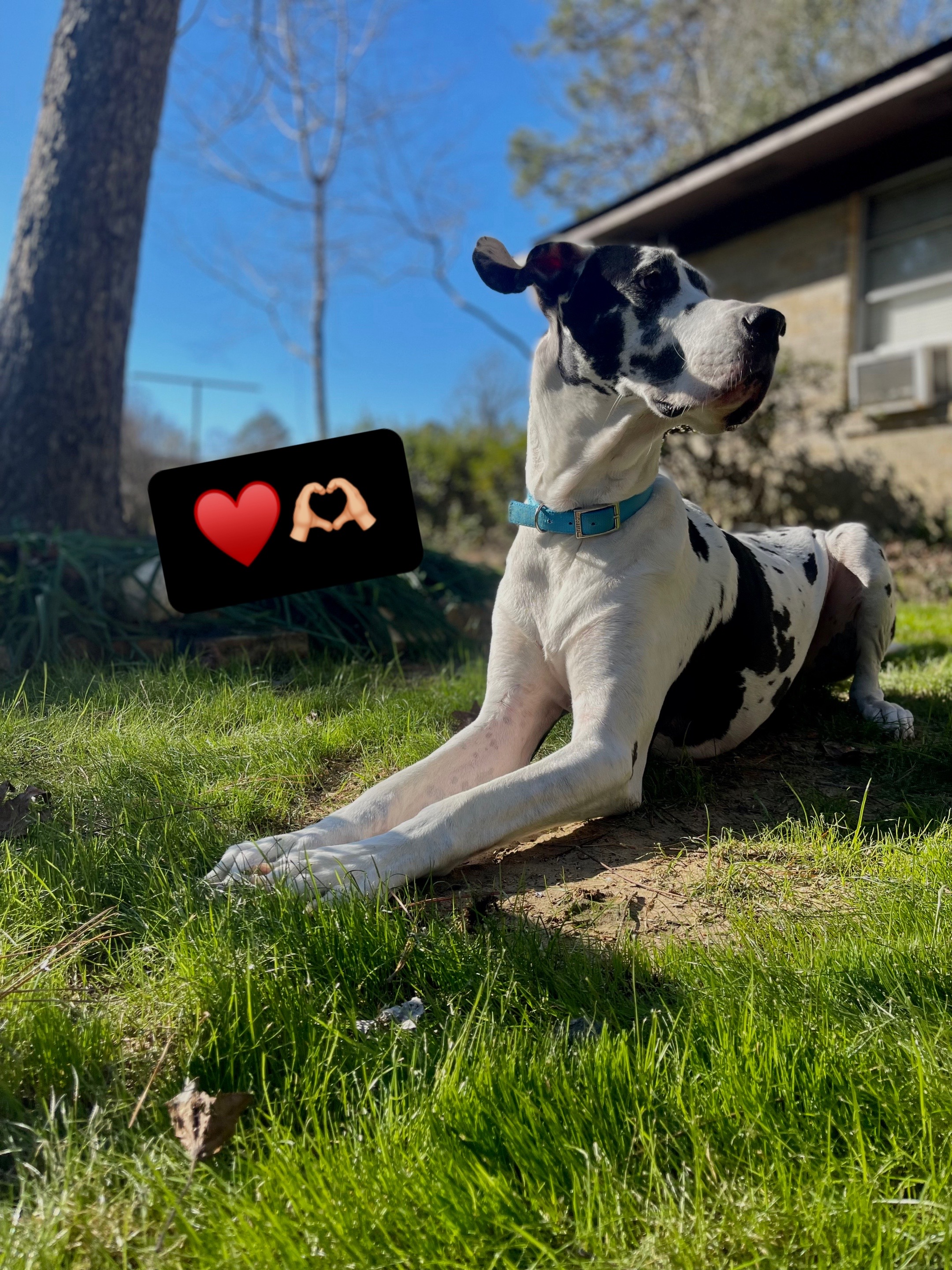 @Chase Wooley