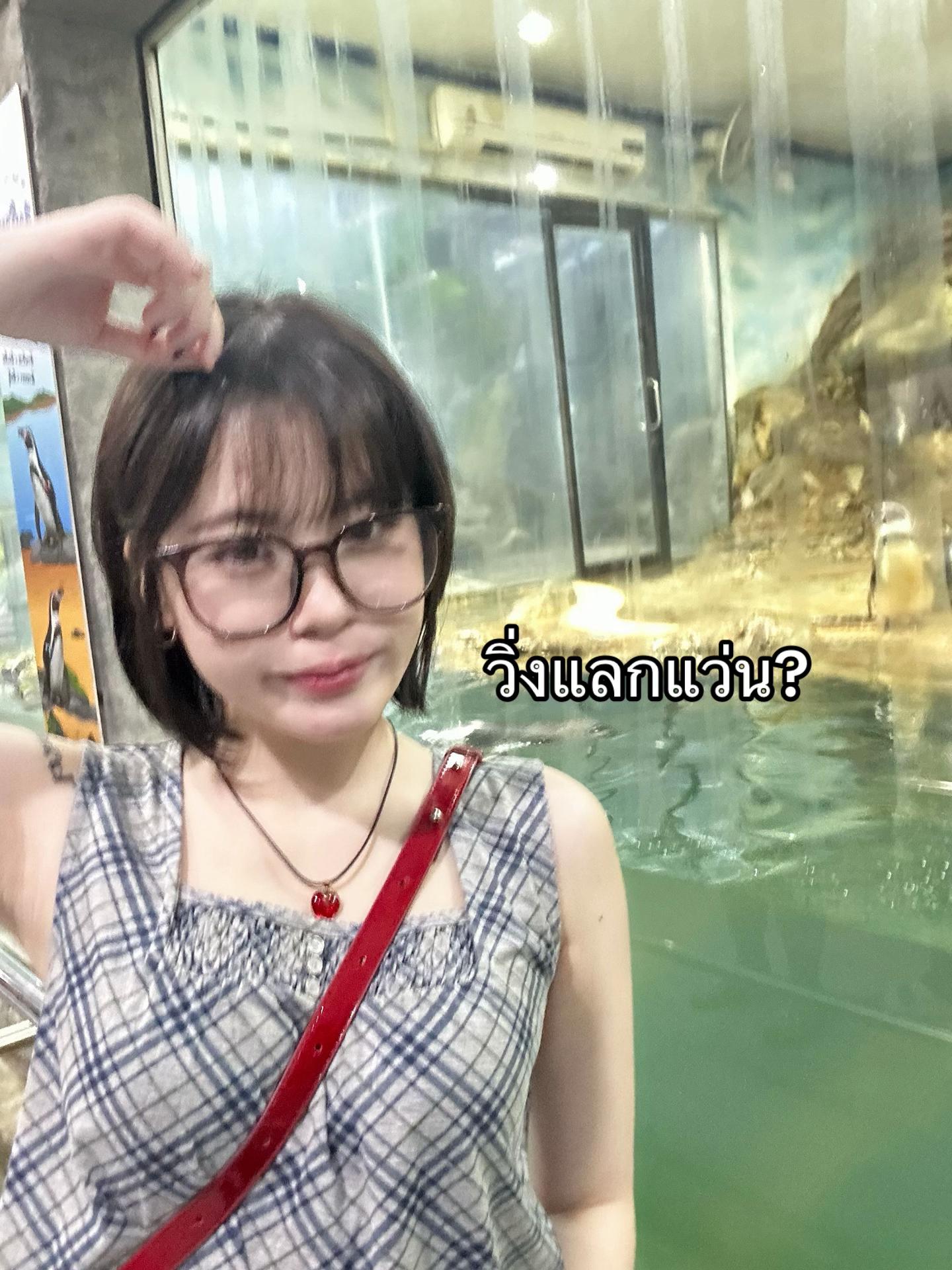 @หมาตาง่วง