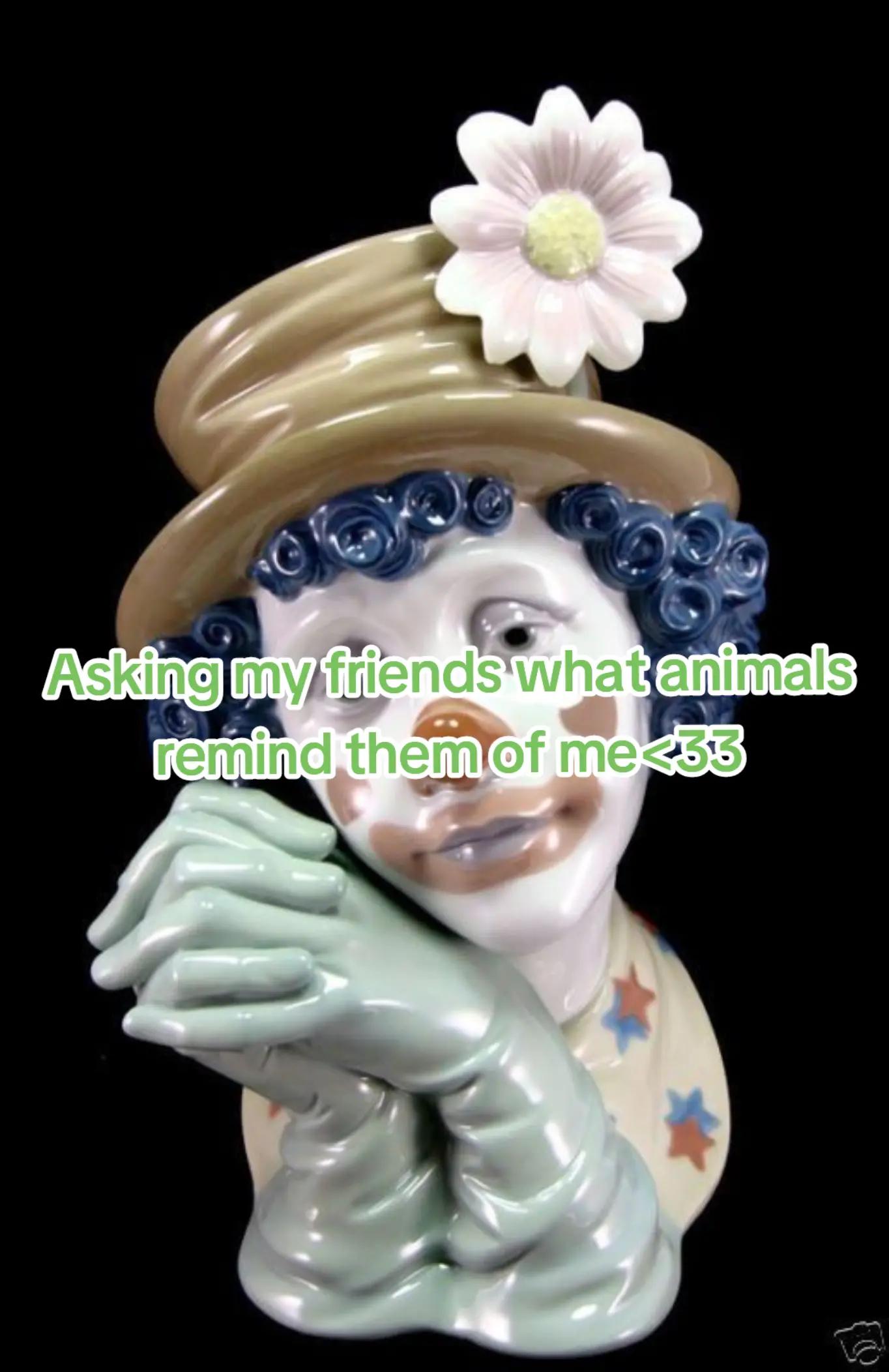 @S4sh4_1s_F1r3