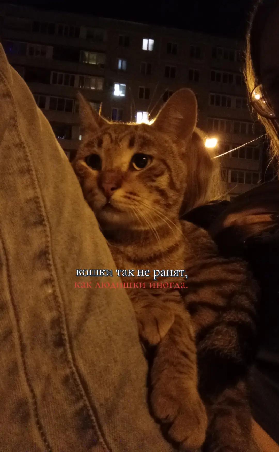 @сонная артерия