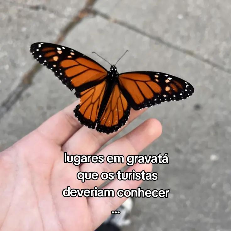 @🌷𝗞🩰