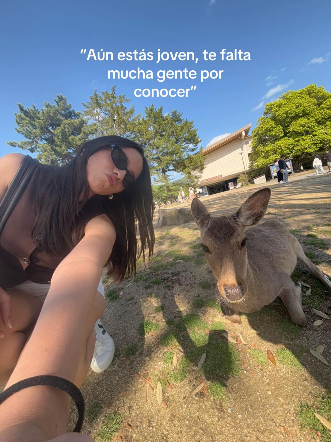 @ale