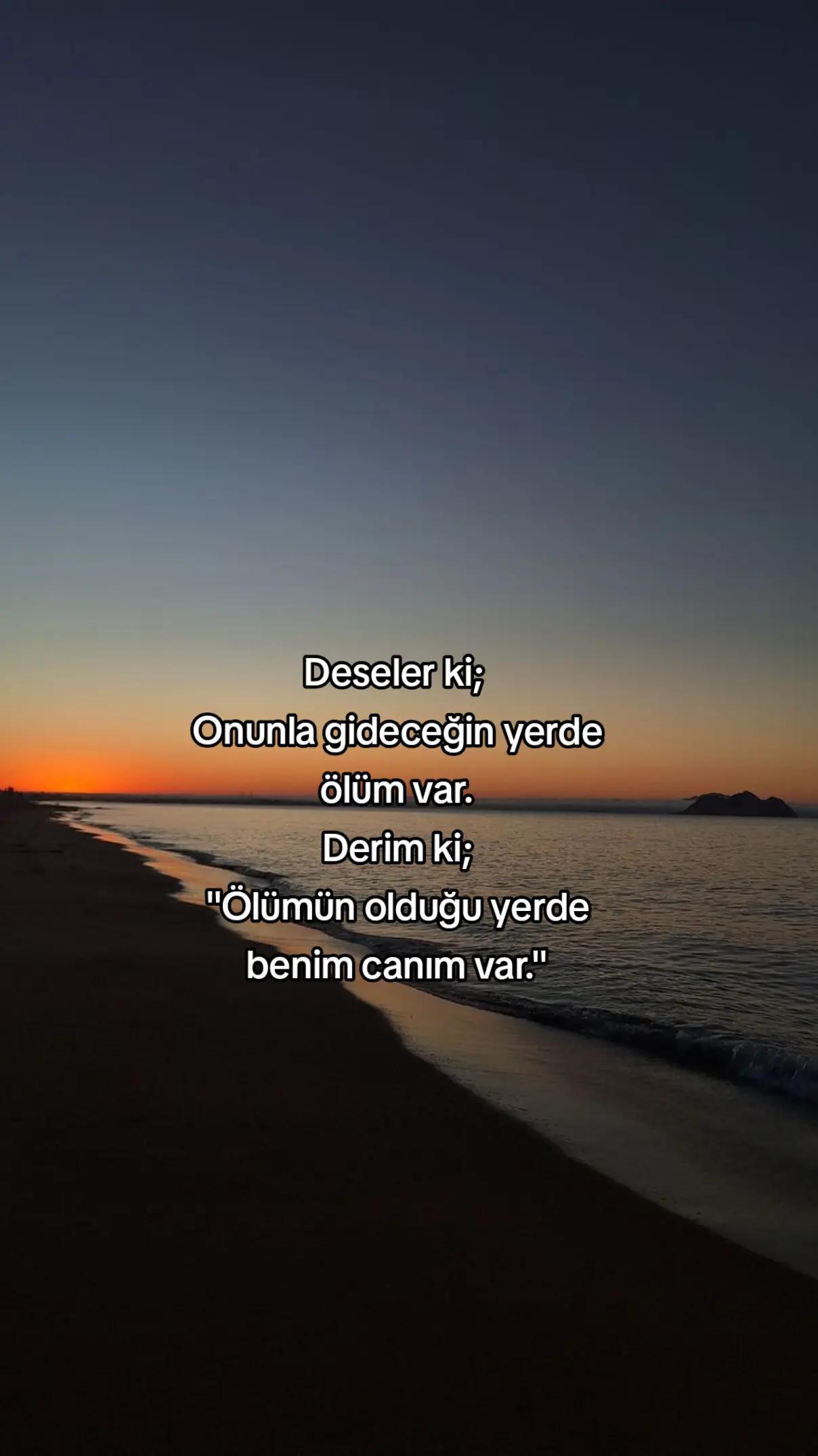 @⭑𝐆𝐞𝐜𝐞⭑
