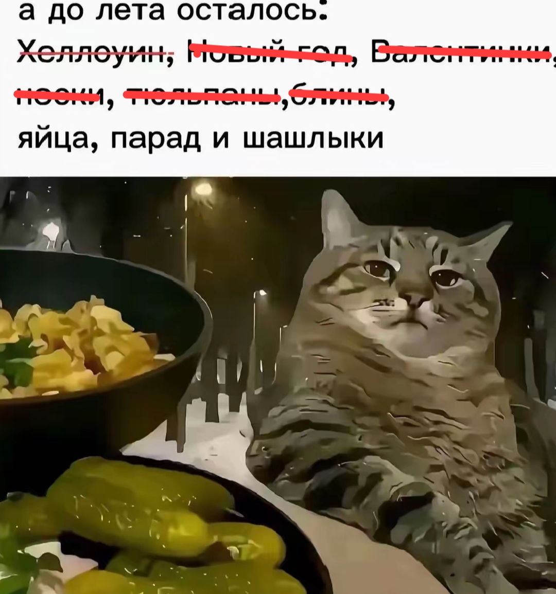 @ТЕРМИНАТОР