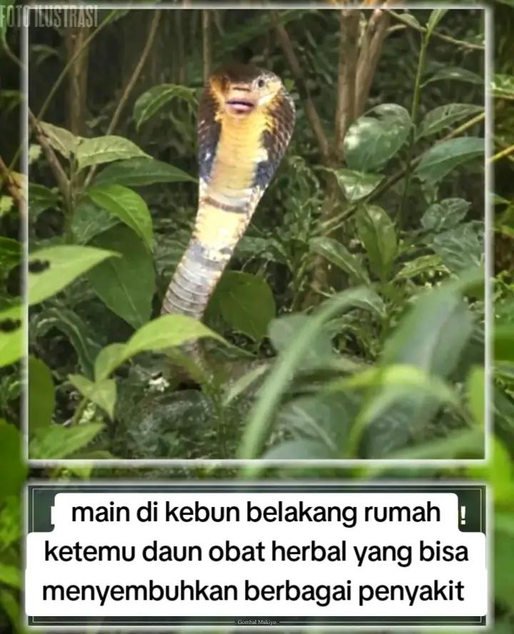 @witrriana&yans