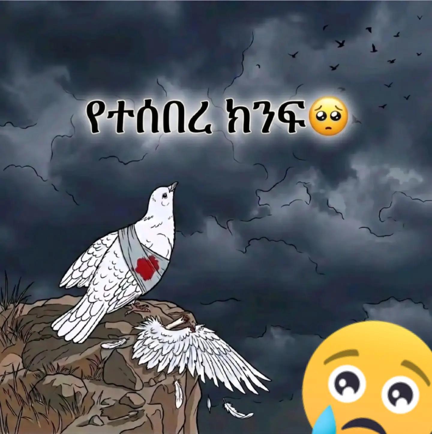 @አይን አፋሯ✌📴
