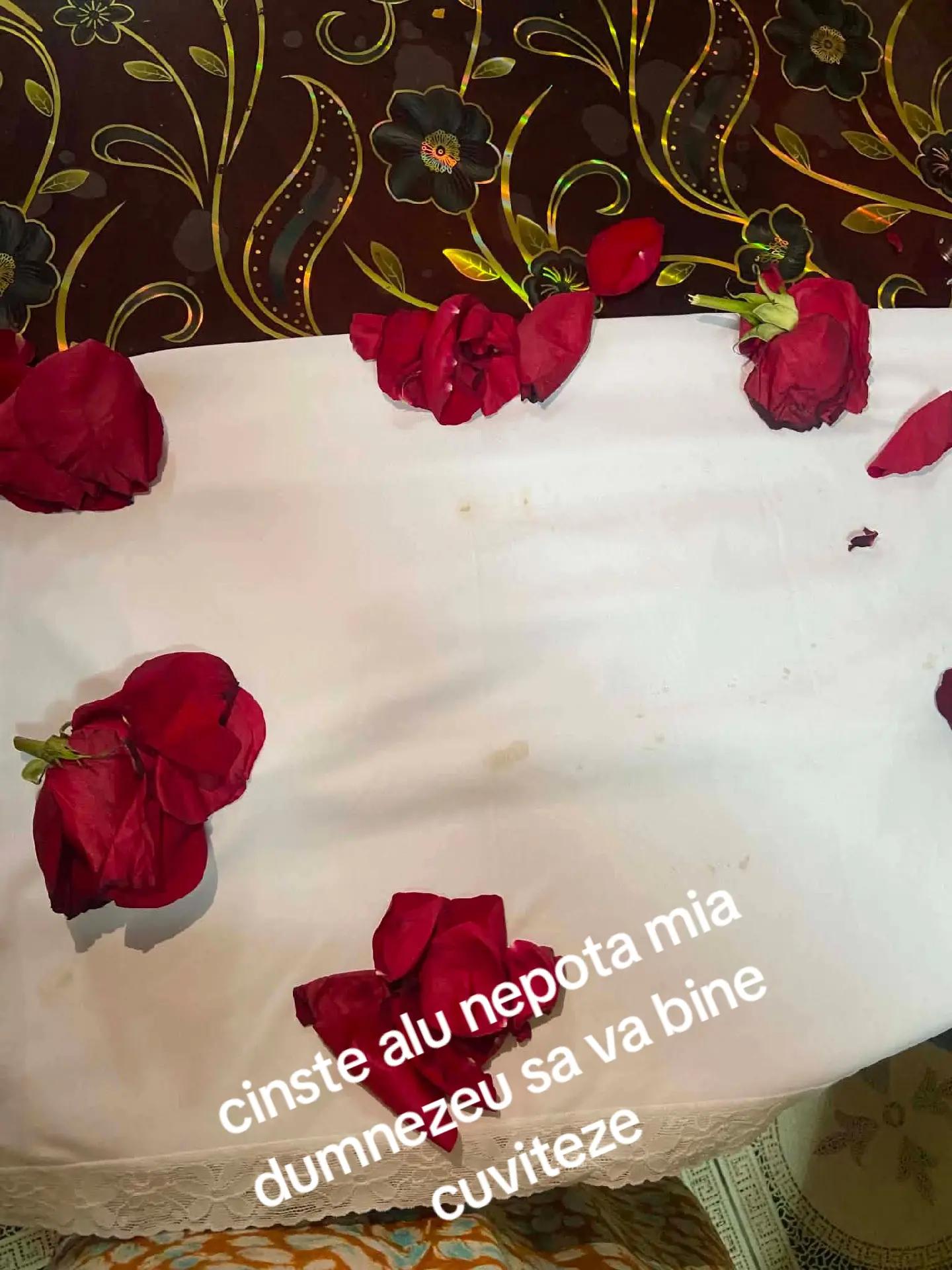@madalina contesa aron